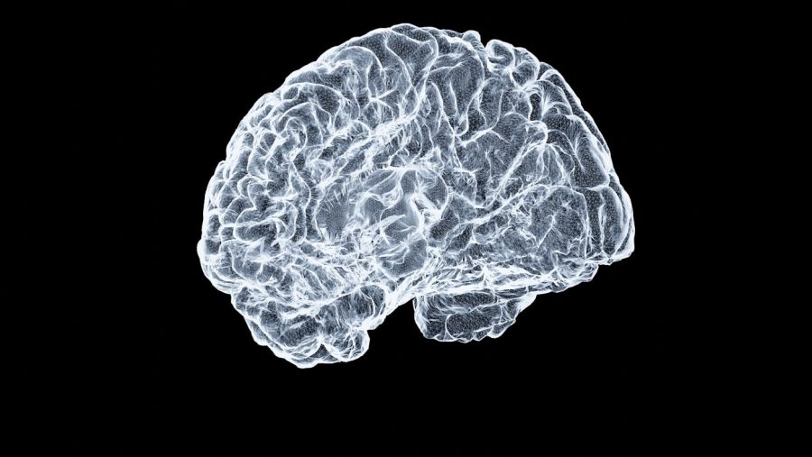 Glowing x-ray view of the human brain on a black background